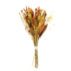 Planta Seca Buquê Variado  Semente Amarela Artesanal