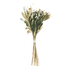 Planta Seca Buquê Variado Carvalho Multicolorido Artesanal