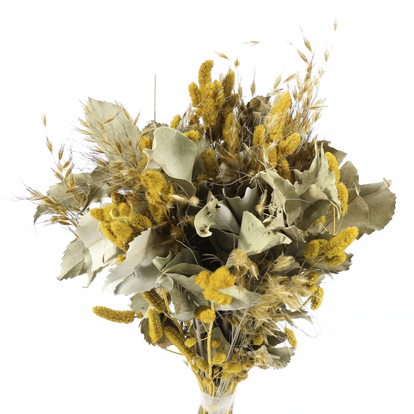 Planta Seca Buquê Variado Celosia Amarela Artesanal