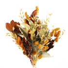 Planta Seca Buquê Variado Celosia Outono Artesanal