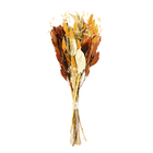 Planta Seca Buquê Variado Celosia Outono Artesanal