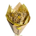 Planta Seca Buquê Variado Coleção Profetic Prosperidade 50cm Artesanal Teares