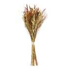 Planta Seca Buquê Variado Jazida Flor Artesanal