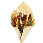 Planta Seca Buquê Variado Mix Outono Artesanal