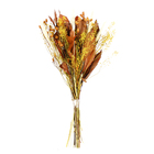 Planta Seca Buquê Variado Mix Outono Artesanal