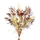 Planta Seca Buquê Variado Mix Vermelho Artesanal