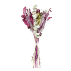 Planta Seca Buquê Variado Semente Pink Artesanal