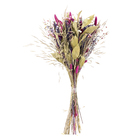 Planta Seca Buquê Variado Sempre Viva Multicolorido Artesanal