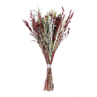 Planta Seca Buquê Variado Vermelho Artesanal