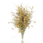 Planta Seca Capim dourado Amarelo Artesanal