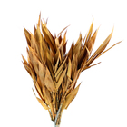 Planta Seca Capim Navalha Laranja Artesanal