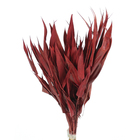 Planta Seca Capim Navalha Vermelho Artesanal