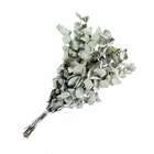 Planta Seca Eucalipto Verde Artesanal