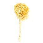 Planta Seca Hortência Branca 40cm