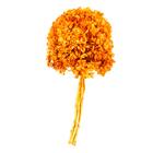 Planta Seca Hortência Laranja 40cm