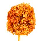 Planta Seca Hortência Laranja 40cm