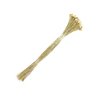 Planta Seca Jazida Bege Artesanal