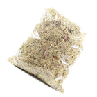 Planta Seca Musgo Branco Verde Artesanal