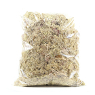 Planta Seca Musgo Branco Verde Artesanal