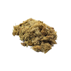 Planta Seca Musgo Buxinho Verde Artesanal