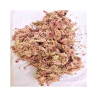 Planta Seca Musgo Rosa Verde Artesanal