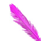 Planta Seca para Decoração Botão Branco 40cm Artesanal Teares