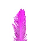 Planta Seca para Decoração Botão Branco 40cm Artesanal Teares