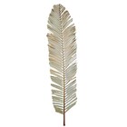 Planta Seca para Decoração Capim Cana Brava 120 cm Artesanal Teares