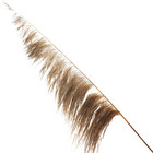 Planta Seca para Decoração Capim Dos Pampas Pink 90cm Artesanal Teares