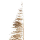 Planta Seca para Decoração Capim Dos Pampas Pink 90cm Artesanal Teares