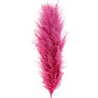 Planta Seca para Decoração Latania Natural Grande 90cm Artesanal Teares
