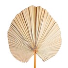 Planta Seca para Decoração Palmeira Cica Pink 70cm Artesanal Teares