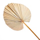 Planta Seca para Decoração Palmeira Cica Pink 70cm Artesanal Teares