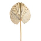 Planta Seca para Decoração Palmeira Cica Pink 70cm Artesanal Teares