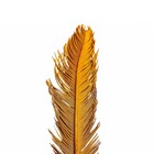 Planta Seca para Decoração Palmeira Cica Vermelha 70cm Artesanal Teares