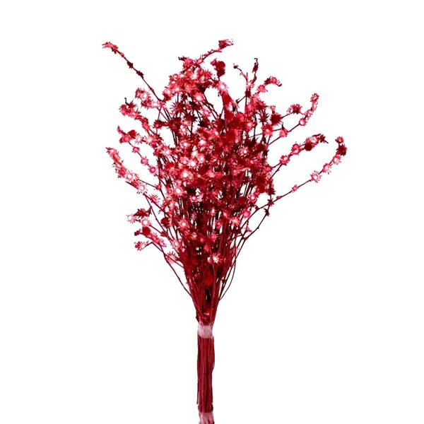 Planta Seca para Decoração Palmeira Leque 70cm Artesanal Teares