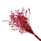 Planta Seca para Decoração Palmeira Leque 70cm Artesanal Teares