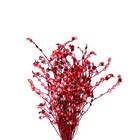 Planta Seca para Decoração Palmeira Leque 70cm Artesanal Teares