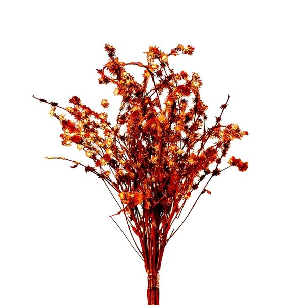 Planta Seca para Decoração Rosinha Vermelho Desidr 50cm Artesanal Teares