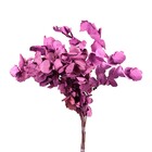 Planta Seca para Decoração Sementinha Lilás 50cm Artesanal Teares
