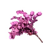 Planta Seca para Decoração Sementinha Lilás 50cm Artesanal Teares