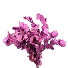 Planta Seca para Decoração Sementinha Lilás 50cm Artesanal Teares