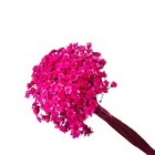 Planta Seca para Decoração Sempre Viva Rosa 30cm Artesanal Teares
