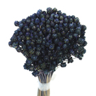 Planta Seca Pimentinha Azul Artesanal