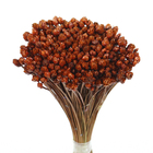 Planta Seca Pimentinha Laranja Artesanal