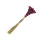 Planta Seca Pimentinha Rosa Artesanal