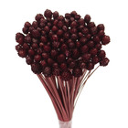 Planta Seca Pimentinha Vermelho Artesanal