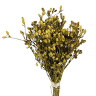 Planta Seca Romo Roxo Amarelo Artesanal