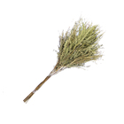 Planta Seca Samambaia Tres Andares Verde Artesanal