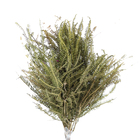 Planta Seca Samambaia Tres Andares Verde Artesanal